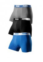 Boxer, Puma (3 Stck.)